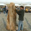 Dřevořezání 2005